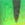 0001_Spro_Iris_Shocktail_40_cm__[Baars].jpg